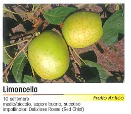 MELA LIMONCELLA