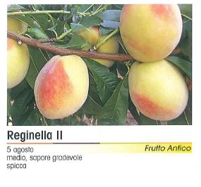 PESCA REGINELLA I