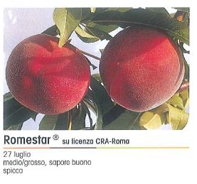 PESCA ROMESTAR V 20