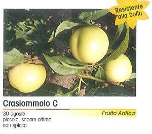 PESCA CRASIOMMOLO