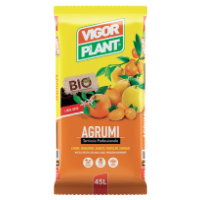SQ N  AGRUMI LT. 20