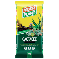 SQ N 12 TERRICCIO PER CACTACEE LT.20