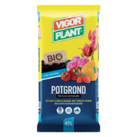 2 TERRICCIO POT GROND LT.10