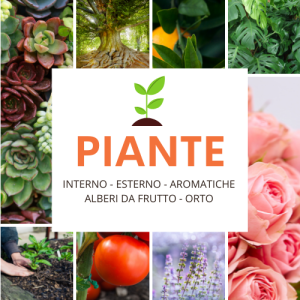 PIANTE