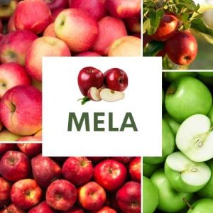 MELA