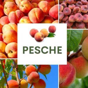 PESCHE