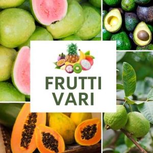 FRUTTI VARI