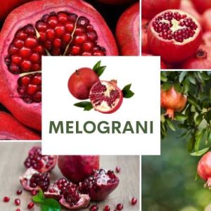 MELOGRANI