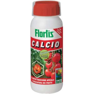 CALCIO FLORTIS