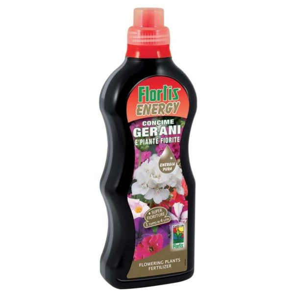 GERANI FLORTIS ENERGY