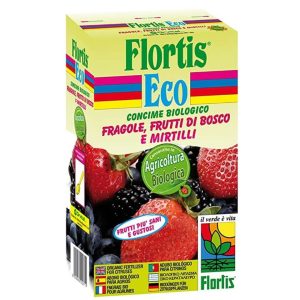 FRAGOLE BIO KG 1 FLORTIS ECO
