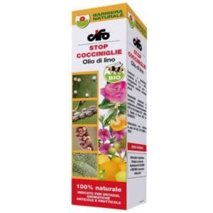 OLIO DIO LINO CIFO