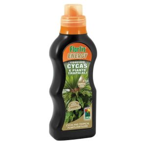 CYCAS LIQUIDO FLORTIS ENERGY