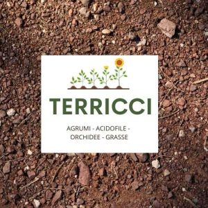 TERRICCI