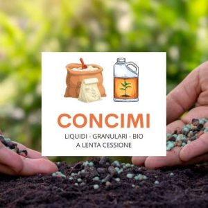 CONCIMI