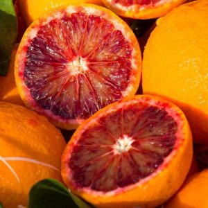 CITRUS ARANCIO SANGUINELLO FITOCELL