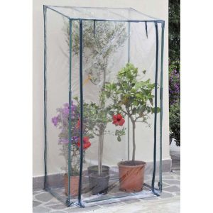 SERRA BOUGANVILLEA