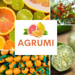 AGRUMI