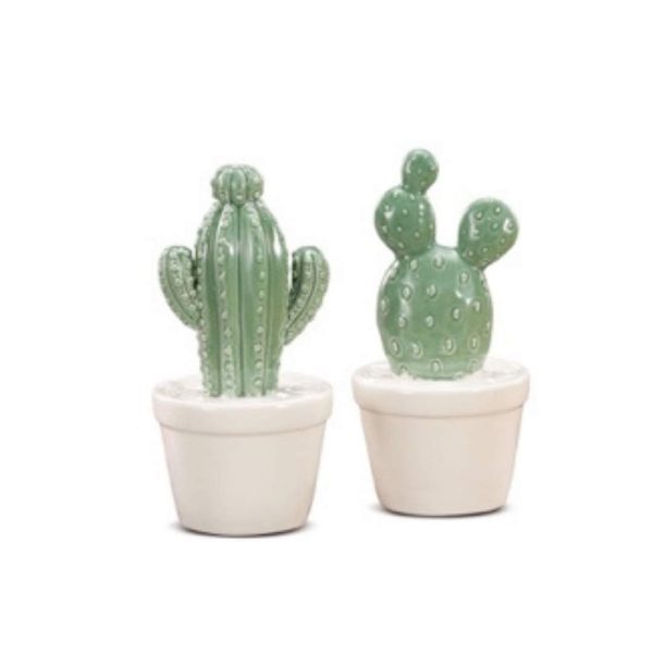 CACTUS CERAMICA