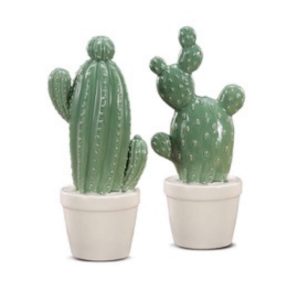 CACTUS CERAMICA