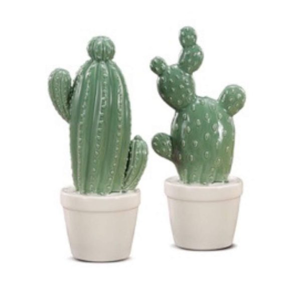 CACTUS CERAMICA