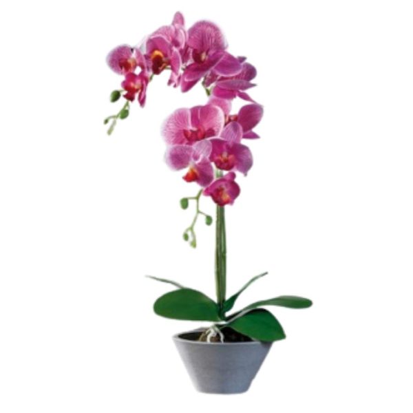 VASO CON ORCHIDEA